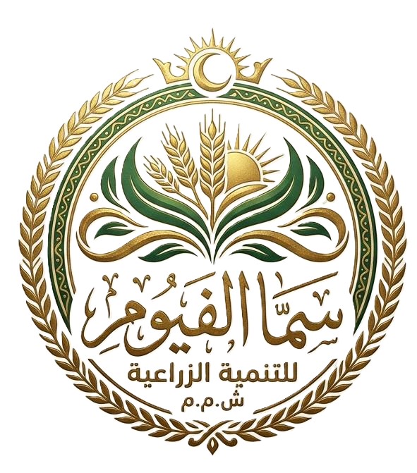Partner Image